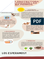 Infografia Creacion de Empresa. Crema Protectora.