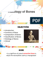Histology of Bones