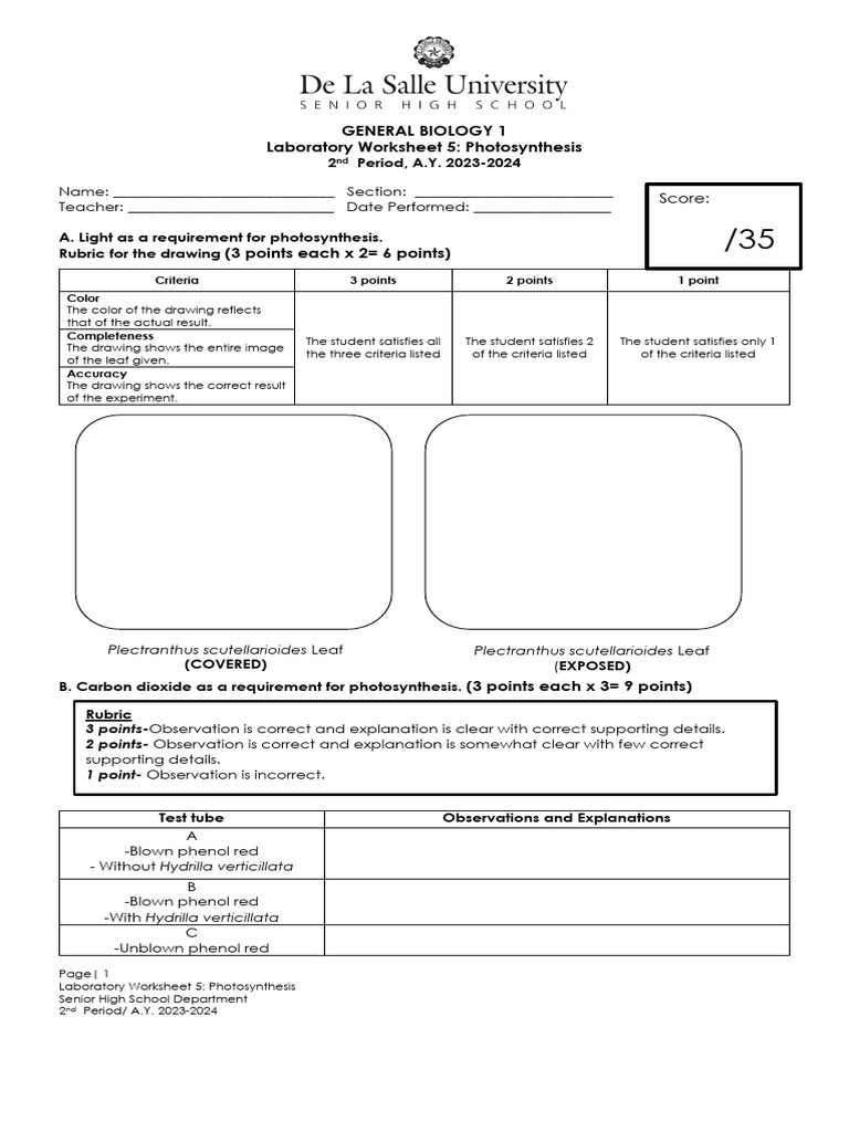 act-5-photosynthesis-answer-sheet-1-pdf-photosynthesis-pigment