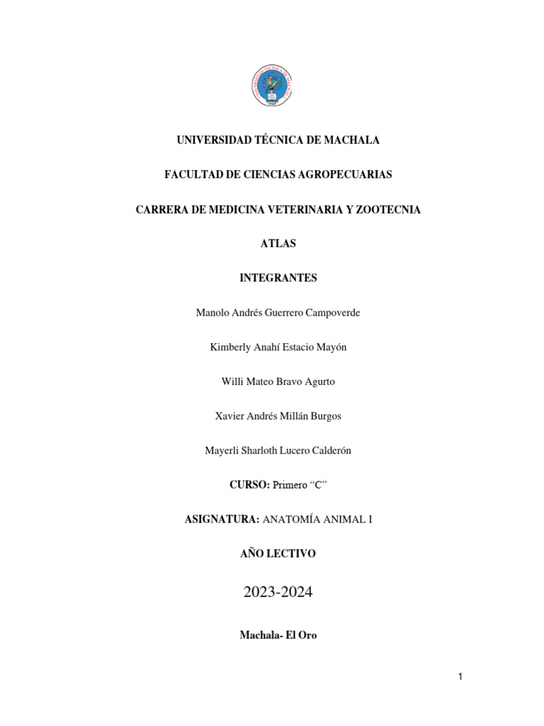 Atlas de los musculos de la cara pdf sistema musculoesquel tico