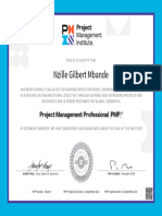 PMI Certfication