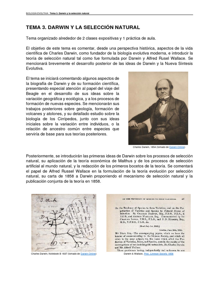 Darwin y la Selección Natural: Claves Evolutivas | PDF | Charles Darwin ...