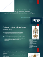 1 - 1 Anatomia Coloanei Vertebrala