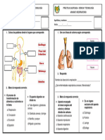 Practica 1 Cyt