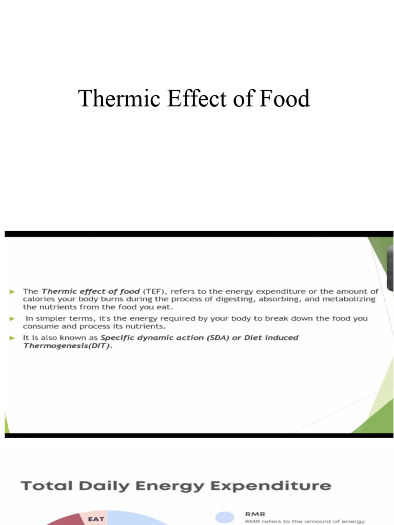 Thermic Effect of Food | PDF