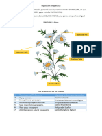 Proyecto y Procesual 2023