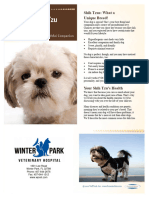 winterparkveterinaryhospitalshihtzu