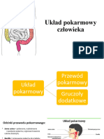 Układ Pokarmowy - Liceum