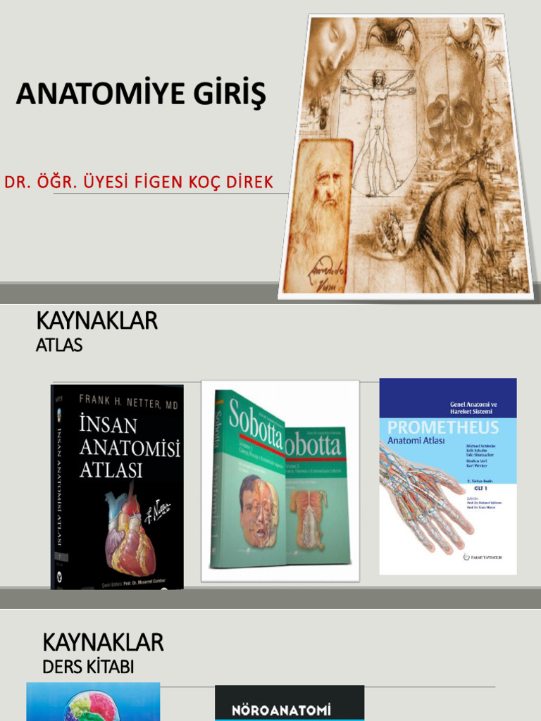 ANATOMİYE GİRİŞ - Kopya | PDF