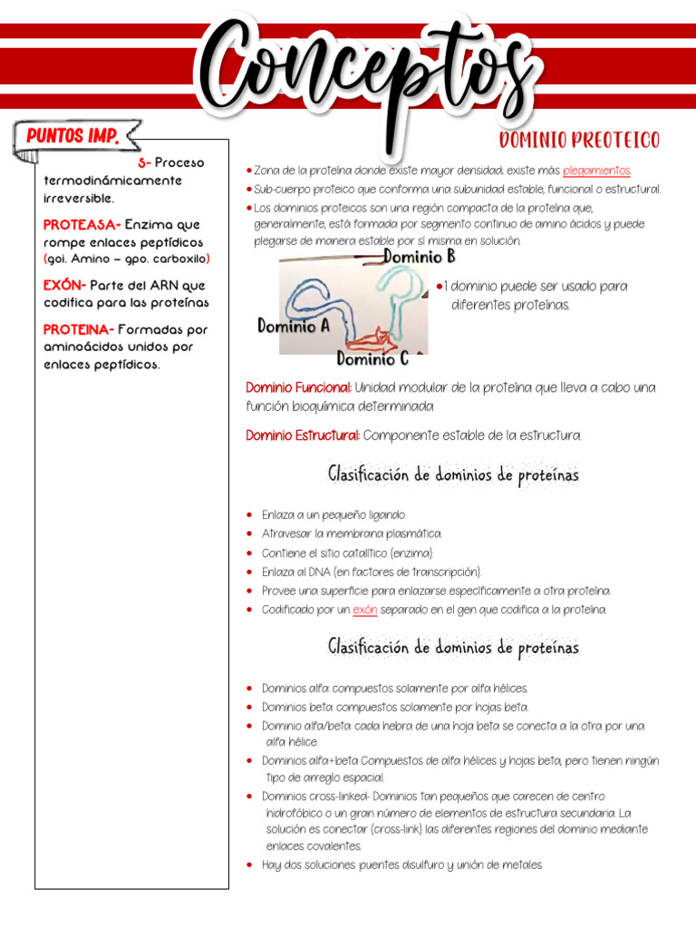 Dominio Protéico y Zimogeno PDF