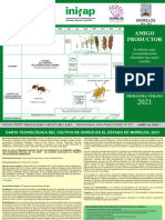 5082 Carta Tecnológica Del Cultivo de Sorgo en El Estado de Morelos 2021