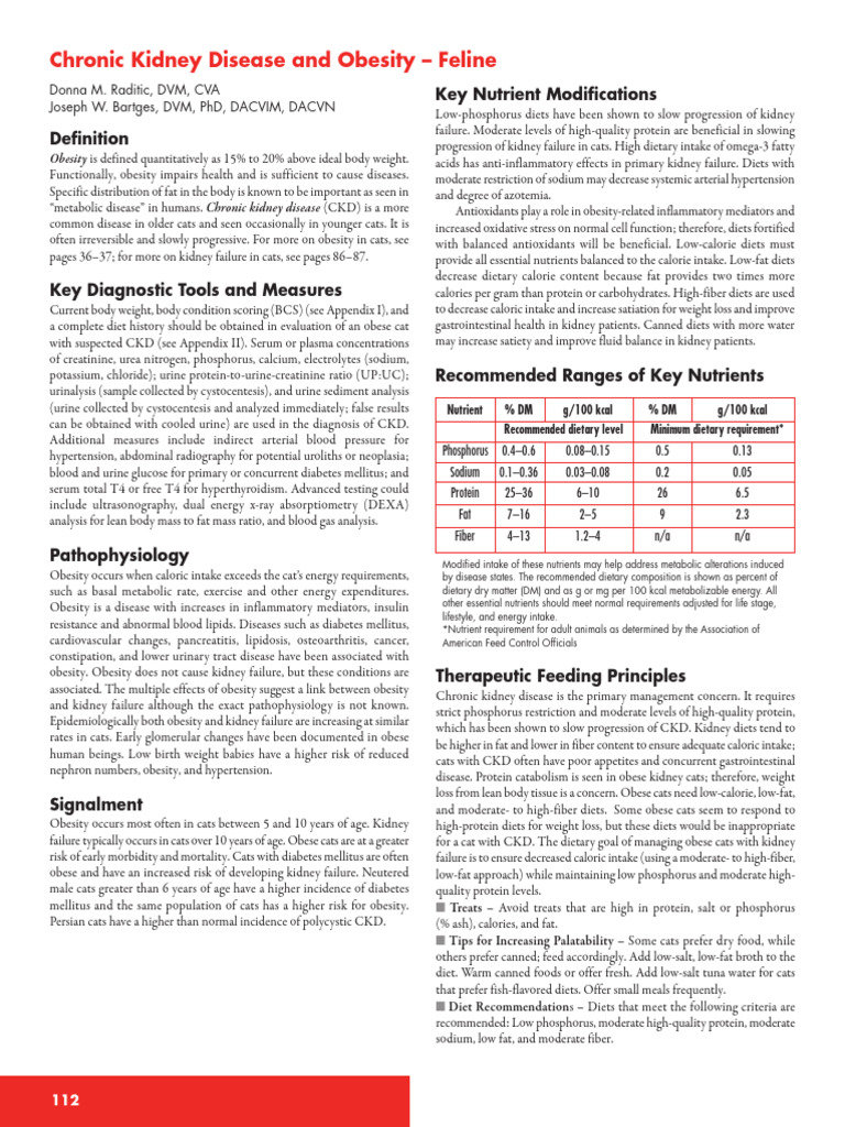 Feline CKD and Obesity Diet Guidelines | PDF | Chronic Kidney Disease ...