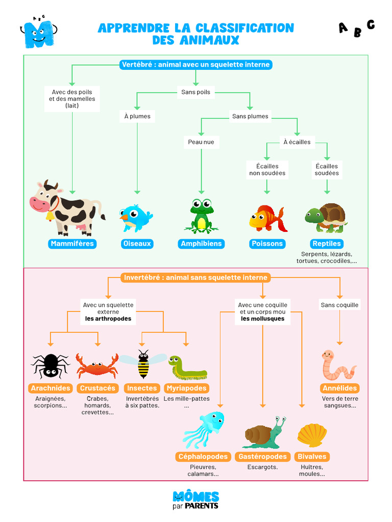 Classification des Animaux Simplifiée | PDF | Jeunes adultes