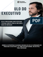 CV Do Executivo Full