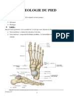 Osteologie Du Pied