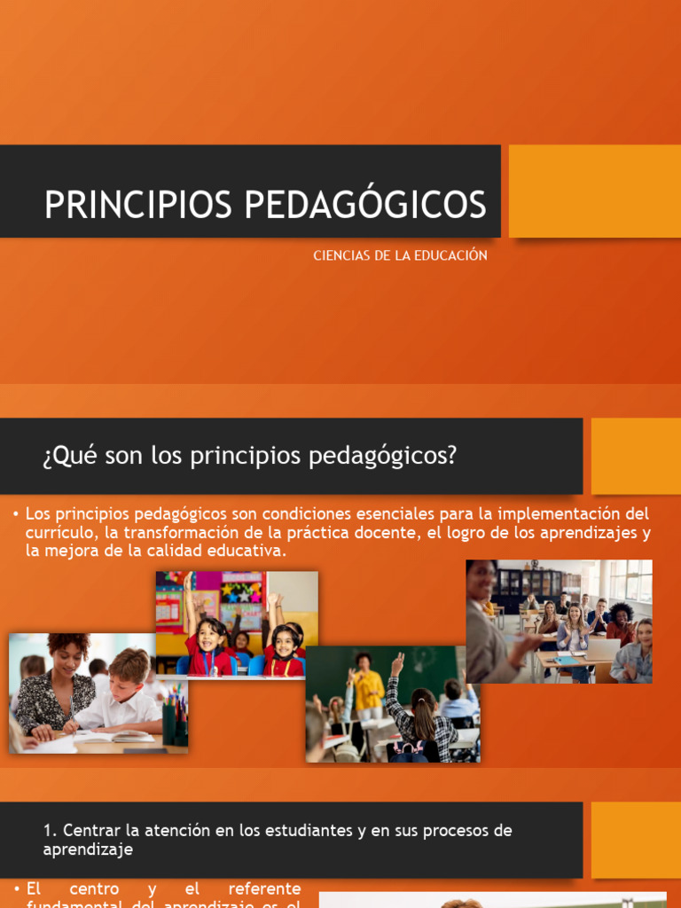 Principios Pedagógicos en Educación | PDF | Aprendizaje | Evaluación