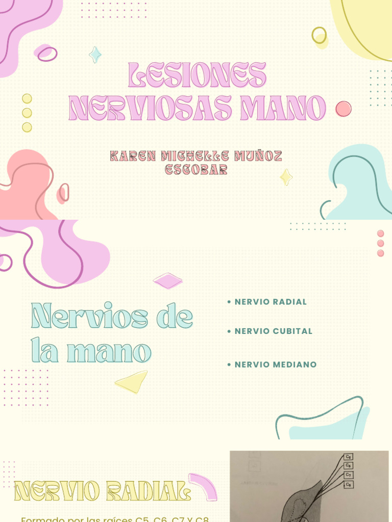 LESIONES DE LA MANO Tohen | PDF | Mano | Sistema musculoesquelético