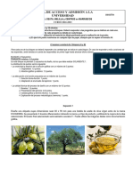 Examen Diseño de Andalucía (Ordinaria de 2023) (WWW - Examenesdepau.com)