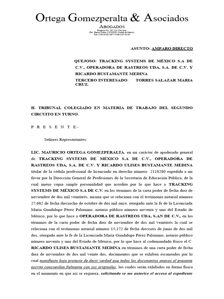 Amparo Directo de Operadora UDA | PDF | Debido al proceso | Ley común