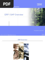 Download 01 SAP Overview by api-3820640 SN7105965 doc pdf