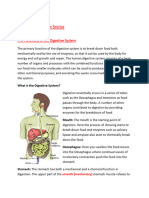 The Digestive System