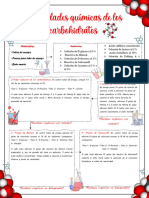 Flujograma de Las Propiedades Quimicas de Los Carbohidratos, Universidad de Antioquia