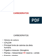 carboidratos(1)