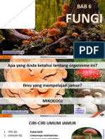 Bab 6 Fungi