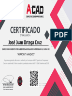 Certificado Ms Project Avanzado Jose Juan Ortega