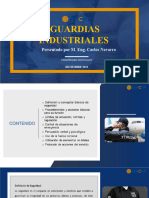 Guardias Industriales Presentacion DIRCAP