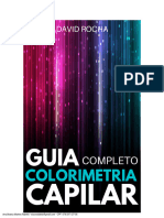 Guia Da Colorimetria Capilar