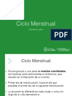 Ciclo Menstrual Curso