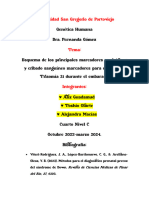 Esquema de Los Principales Marcadores Ecográficos y Cribado Sanguíneo Marcadores para Detectar La Trisomía 21 Durante El Embarazo.