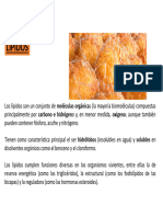 Lípidos Bioquimica III Parcial PDF