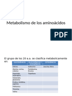 Metabolismo Aminoacidos