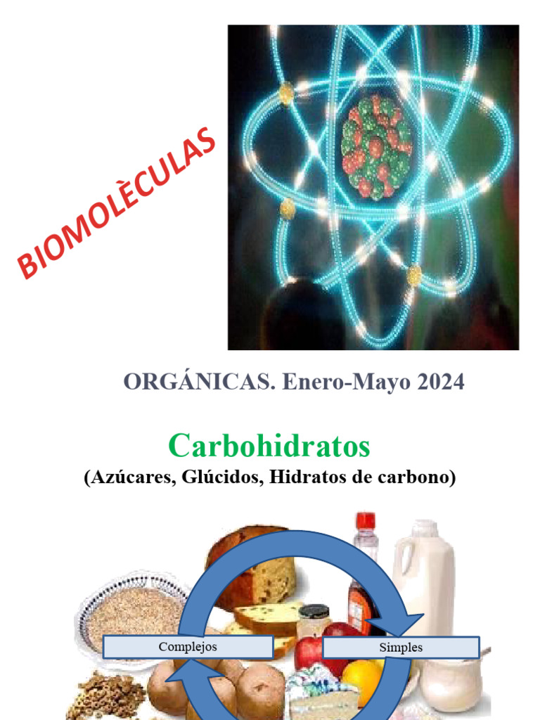 Biomoléculas: Carbohidratos, Lípidos y Proteínas | PDF