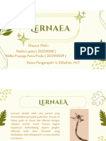 Lernaea ( Nadia & Ridho )
