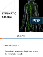 Lymphatic - System - HDN 3