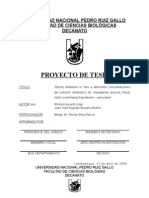 Proyecto de Tesis: "Efecto Inhibitorio in Vitro A Diferentes Concentraciones Del Extracto Metanólico de Caesalpinia Spinosa (Taya) Sobre Leishmania Braziliensis - Peruviana"