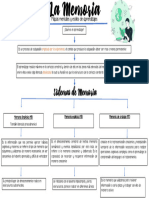 Cuadro Conceptual Estilos de Aprendizaje