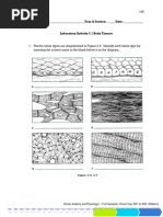 Tissue Level Lab Exercise Module