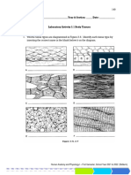 Tissue Level Lab Exercise Module