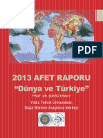 2013 AFET RAPORU - v2