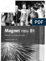 Magnet B1 KB