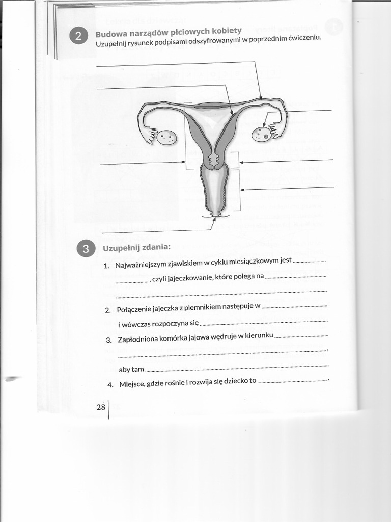 Przyroda Klasa 4 Rozdział 4 Układ Rozrodczy Klasa 4 | PDF