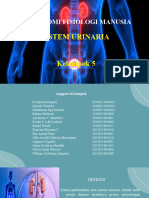 Kelompok 5 - Sistem Urinaria.1