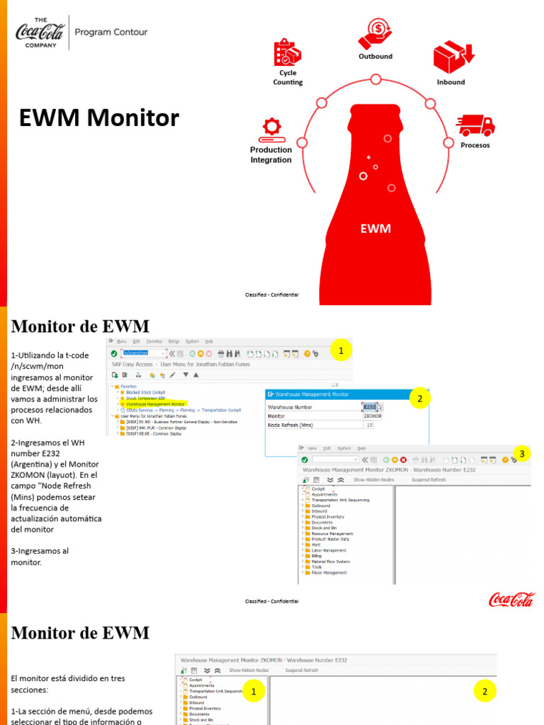 Monitor EWM: Guía de Uso y Funciones | PDF | Informática