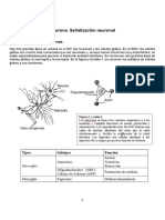 Lectura Señalización Neuronal