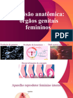 Rrevisao Sist Reprodutor Feminino Aula 1