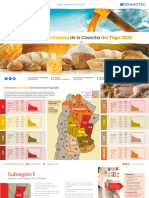 Informe de Calidad de La Cosecha Del Trigo 21-22